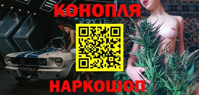 молекула духа Будённовск