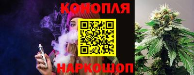 молекула духа Будённовск