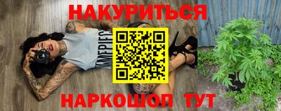 молекула духа Будённовск