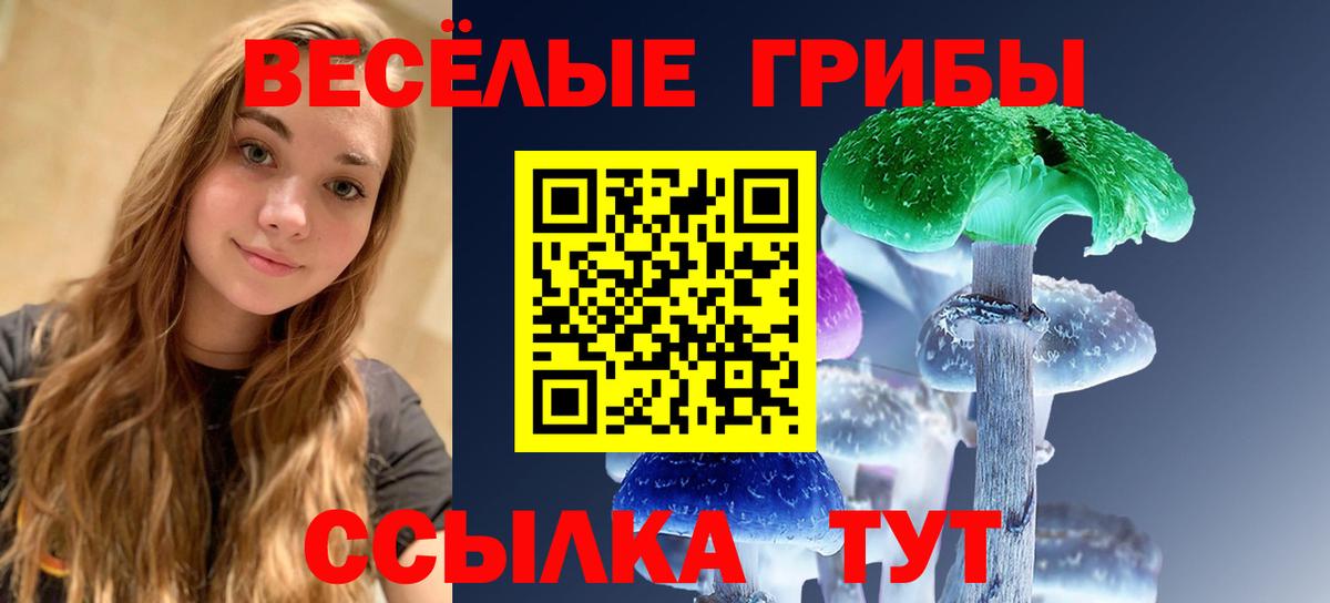 Галлюциногенные грибы мухоморы  Вход с VPN  Кызыл 